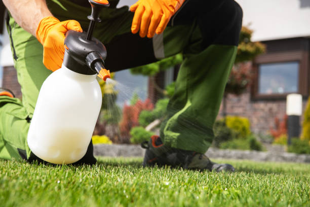 Best Pest Control Near Me in Winchester, NV