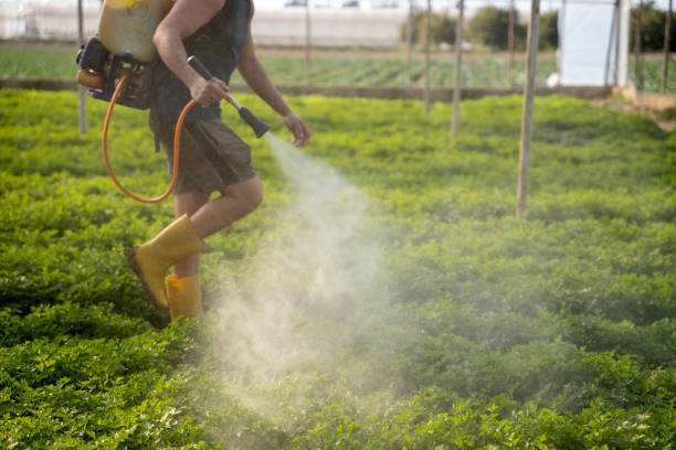 Professional Pest Control in Winchester, NV