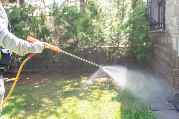 Wasp Removal Services in Winchester, NV