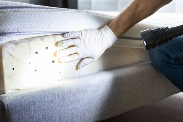 Best Pest Inspection Near Me  in Winchester, NV