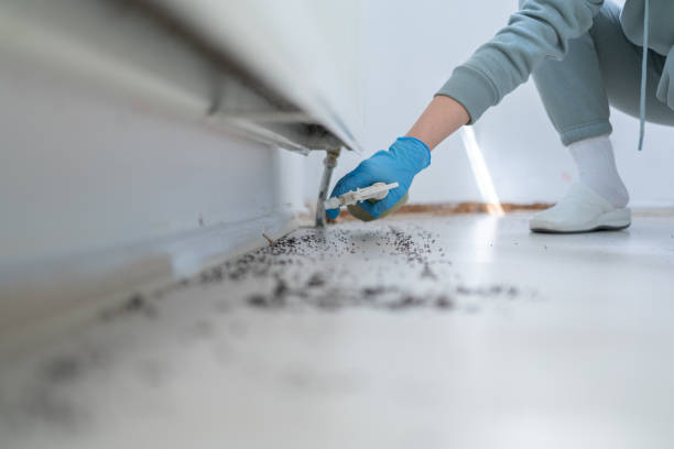 Best Mosquito Control Services  in Winchester, NV