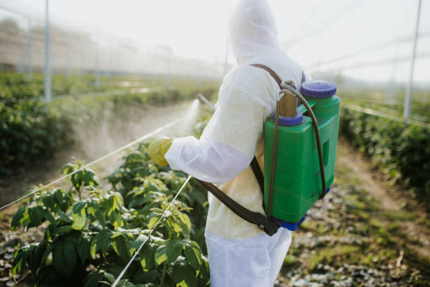Best Mosquito Control Services  in Winchester, NV